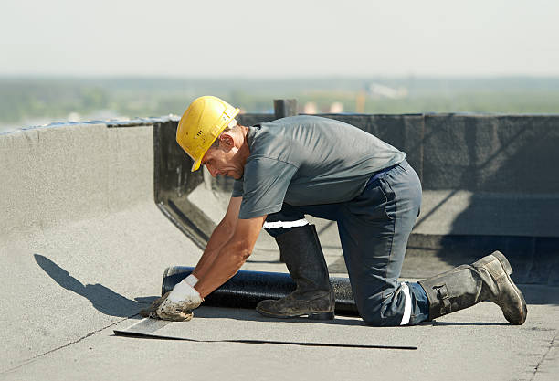 Best Insulation Installation Services in Jackson, WI
