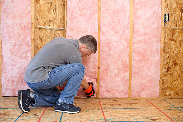 Best Types of Insulation in Jackson, WI