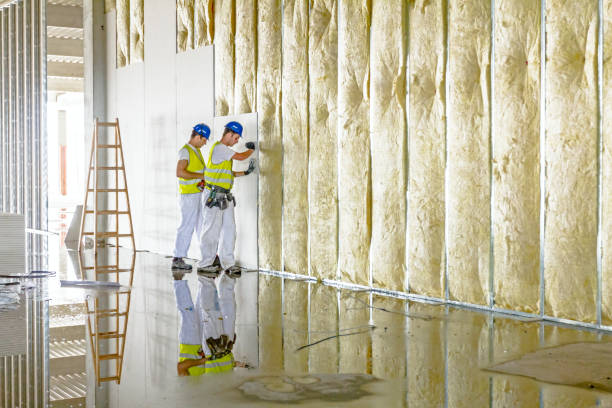 Best Insulation Installation Services in Jackson, WI